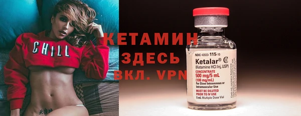 крисы Надым