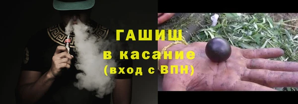 крисы Надым