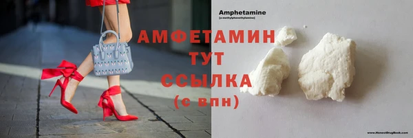 крисы Надым