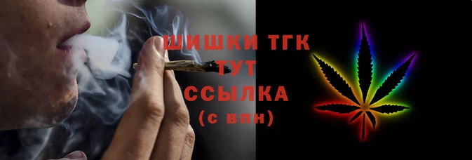 крисы Надым