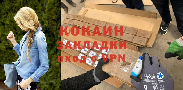 крисы Надым