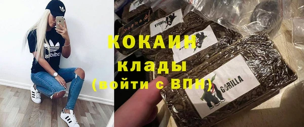 крисы Надым