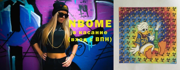 крисы Надым