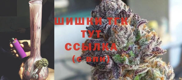 крисы Надым