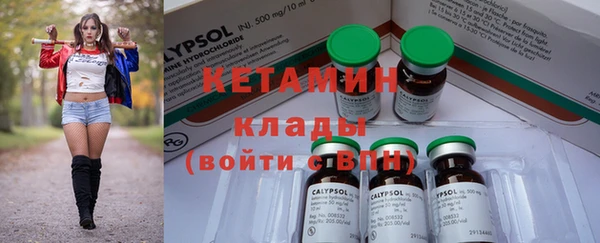крисы Надым