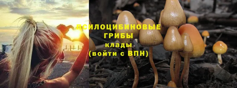 Галлюциногенные грибы MAGIC MUSHROOMS Каневская